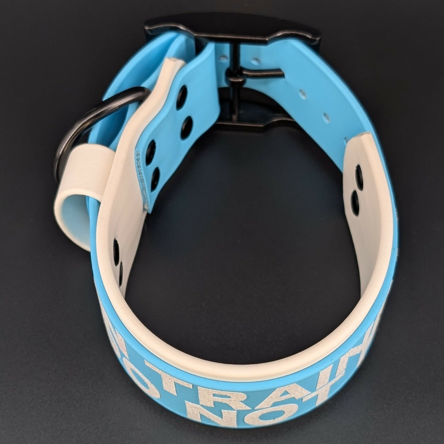 2 inch wide white and light blue biothane in training do not pet collar