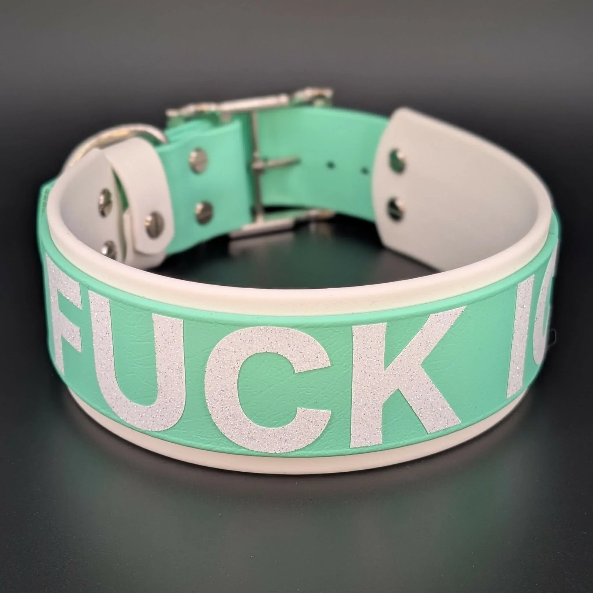 2 inch wide white and mint biothane fuck ice dog collar
