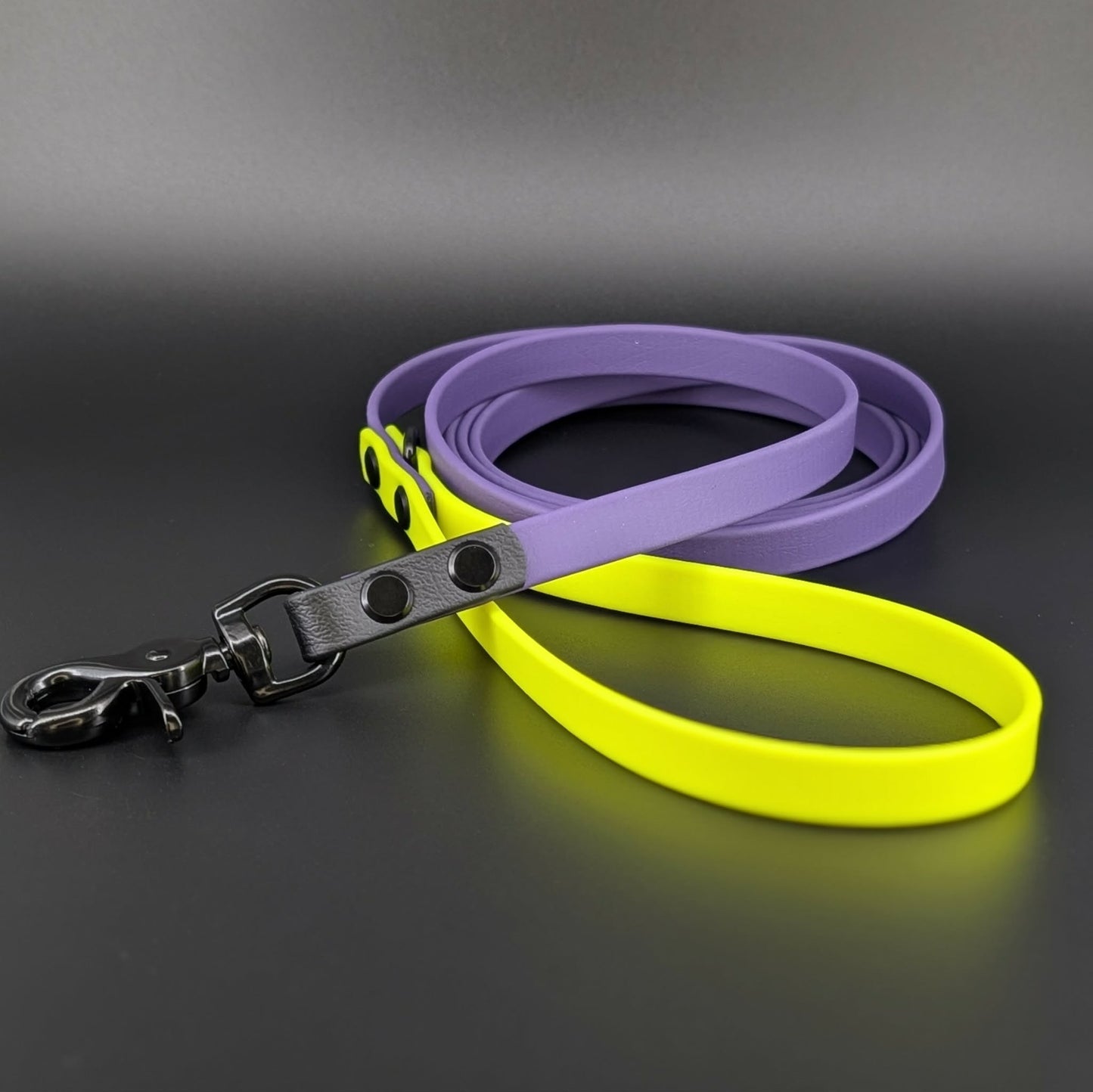 6 feet long dark purple yellow and black biothane dog leash with black hardware