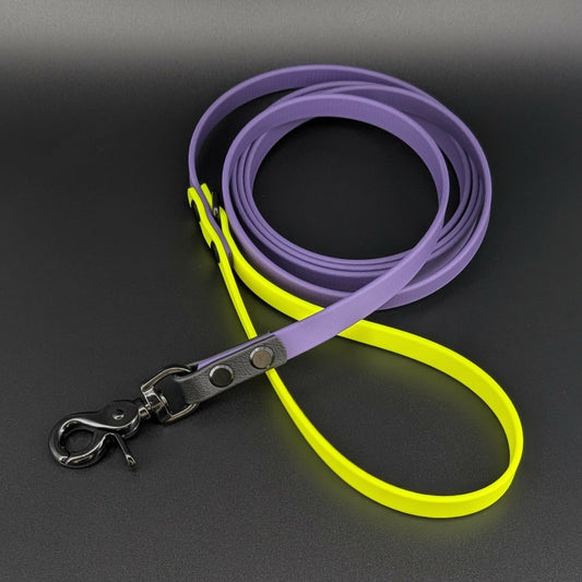 6 foot long dark purple yellow and black biothane dog leash with black hardware