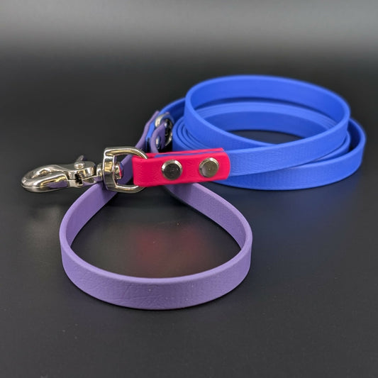 6 foot long royal blue dark purple and pink biothane dog leash with silver trigger snap