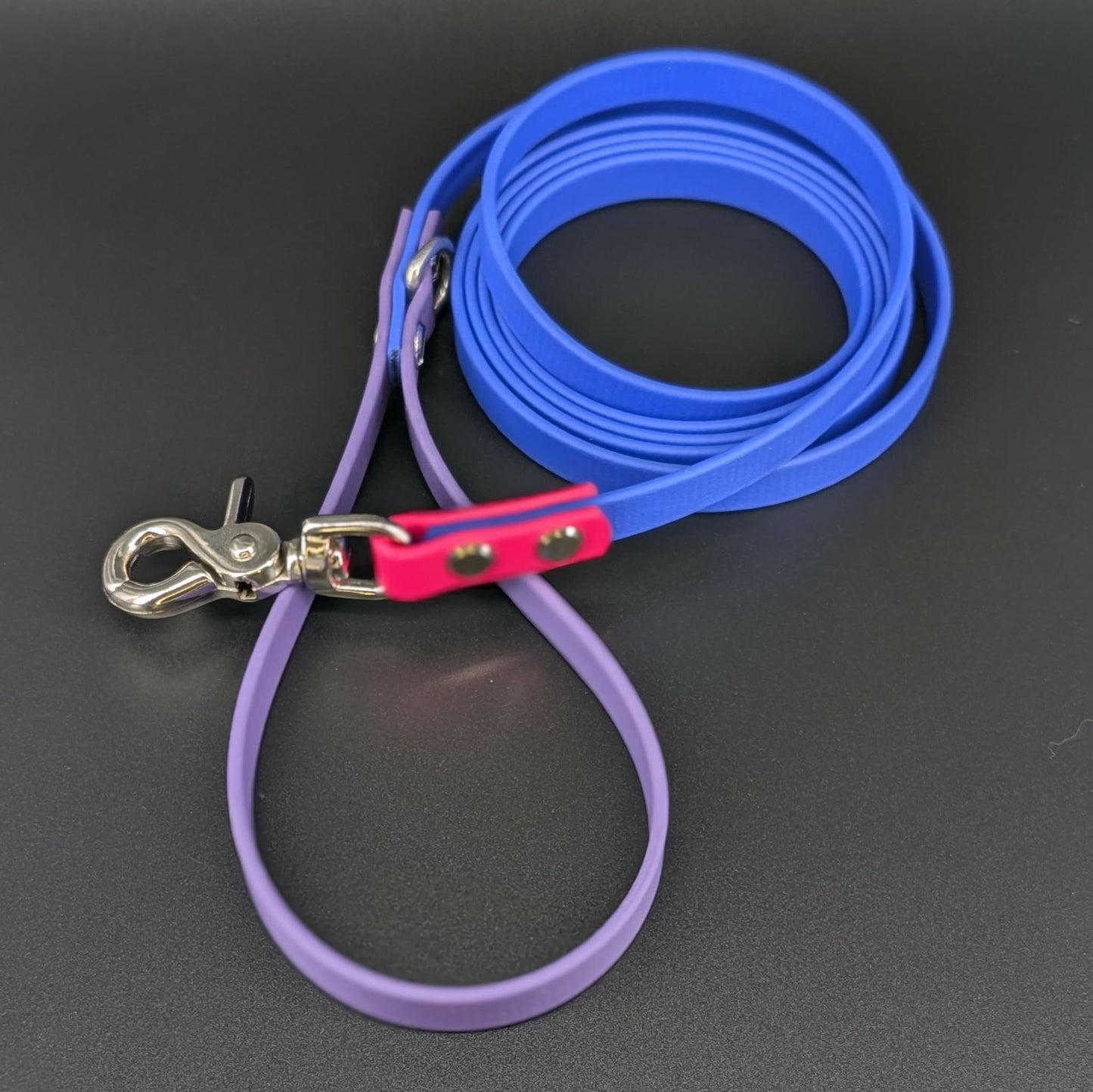 6 foot long royal blue dark purple and pink biothane dog leash