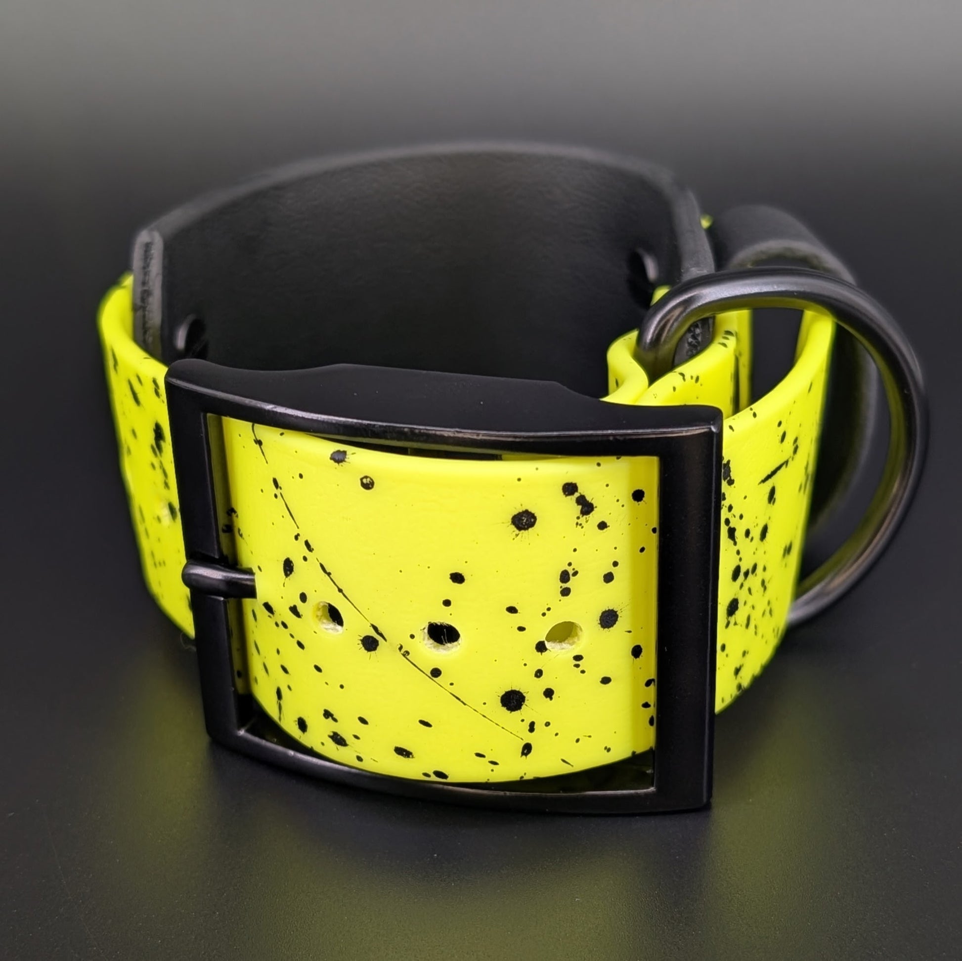 9-12 inch neck 2 inch wide black and yellow layered biothane my teeth are bigger than your dick collar