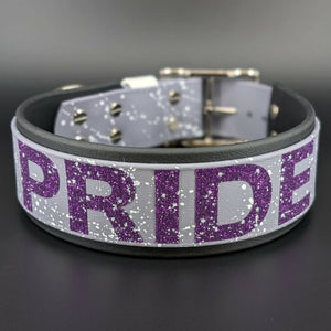 Black and Gray Layered Biothane Ace Pride Dog Collar, 2 inch wide 18 - 21 inch neck