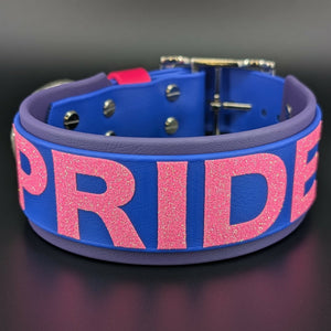 Dark Purple and Royal Blue Layered Biothane Bi Pride Dog Collar, 2 inch wide 15 - 18 inch neck