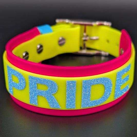 Pink and Yellow Layered Biothane Pan Pride Dog Collar 1.5 inch wide 12-15 inch neck