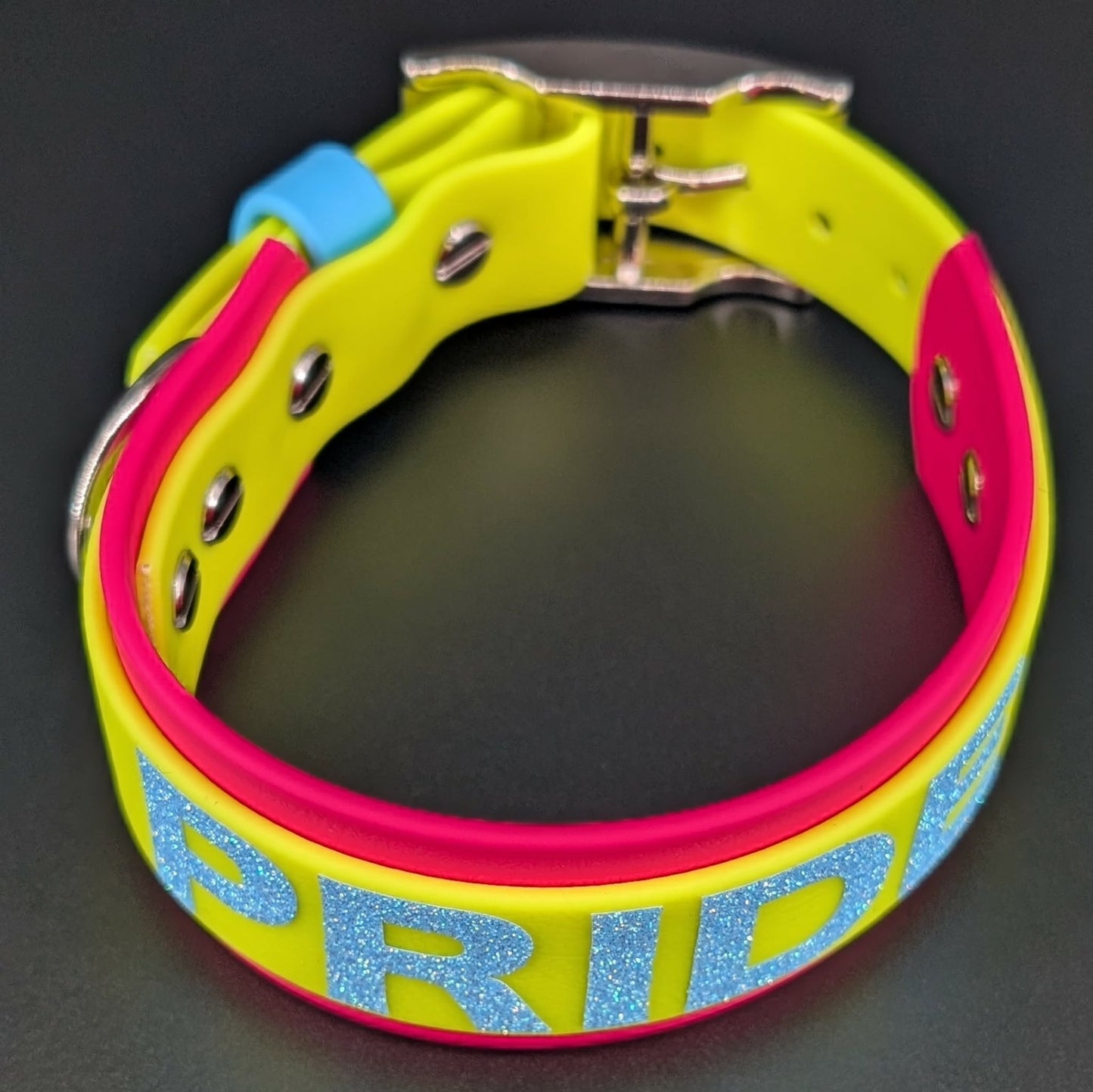 Pink and Yellow Layered Biothane Pan Pride Dog Collar