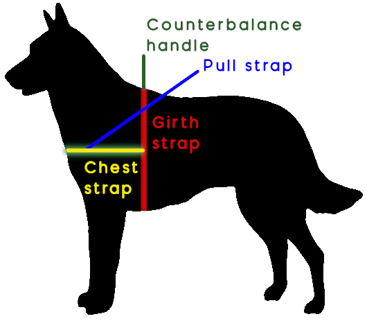 straight front service dog harness how to measure