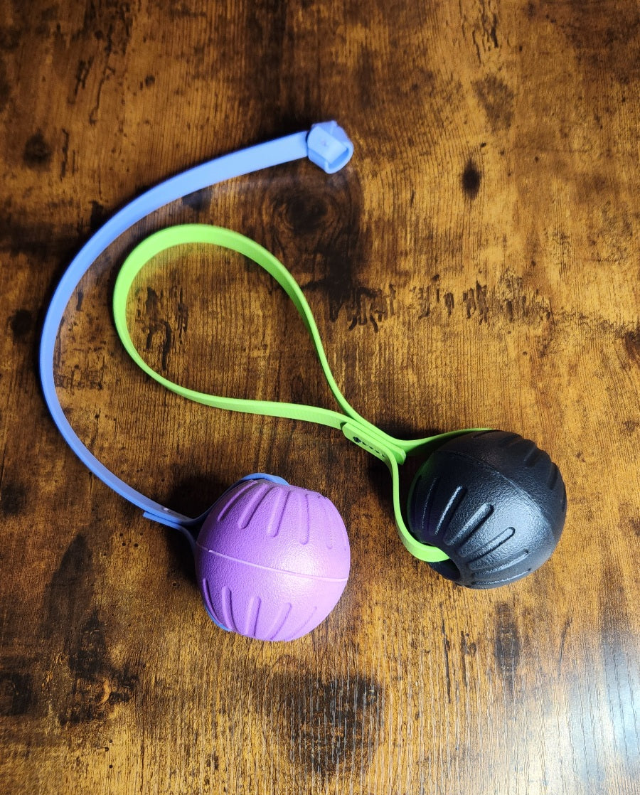 two ball tugs, one purple with a periwinkle blue biothane knotted tab handle, and the other black with a light green biothane loop handle