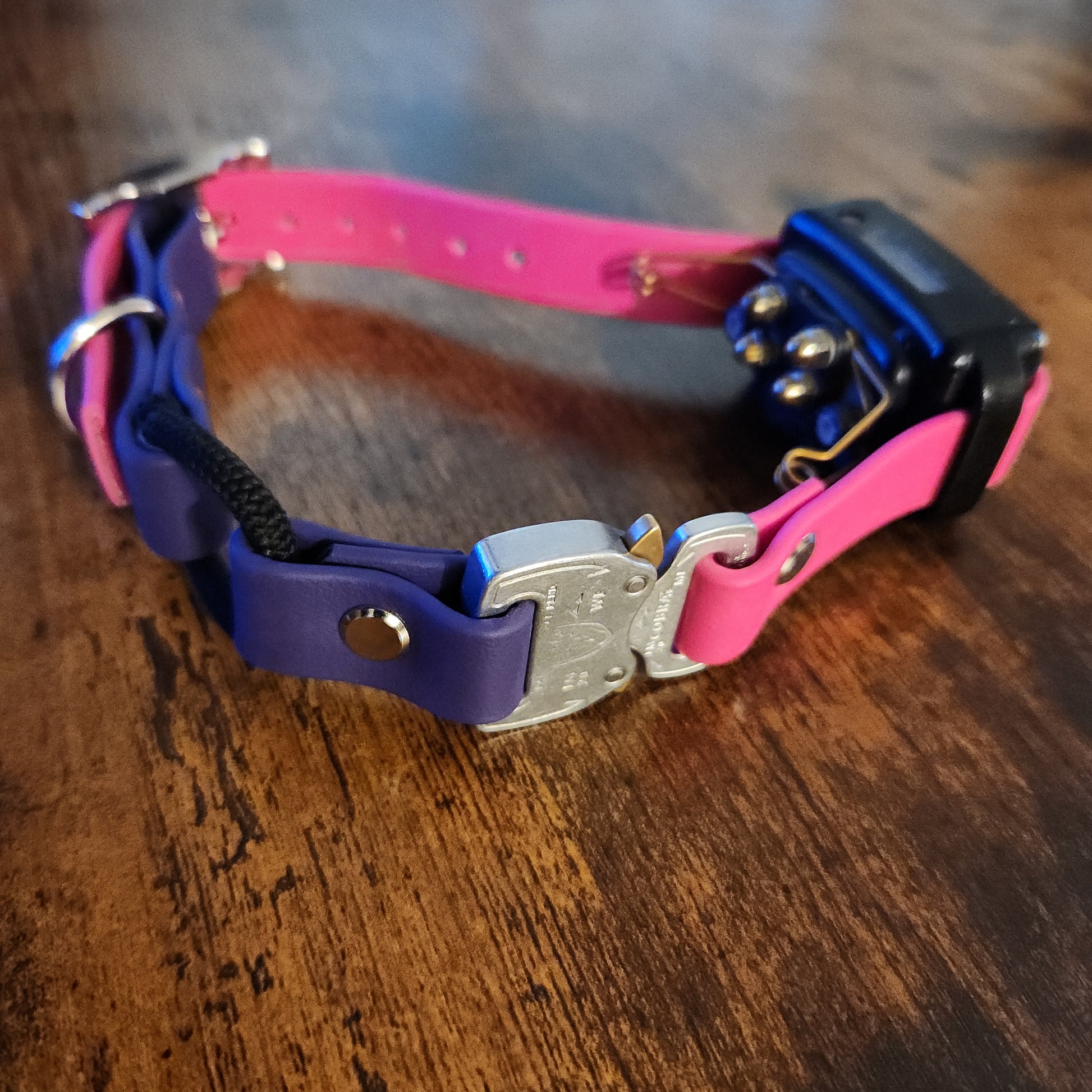 biothane e-collar strap with bungee and cobra buckle
