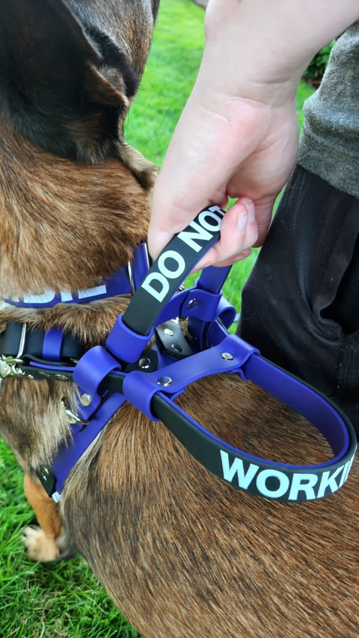 biothane counterbalance handle service dog harness with custom text