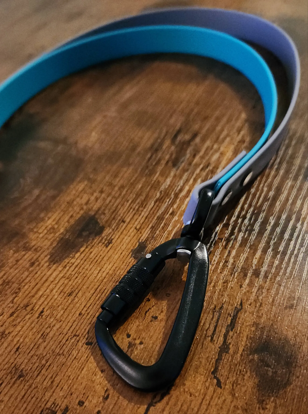 gray and light blue biothane double pull strap with twist-lock carabiners