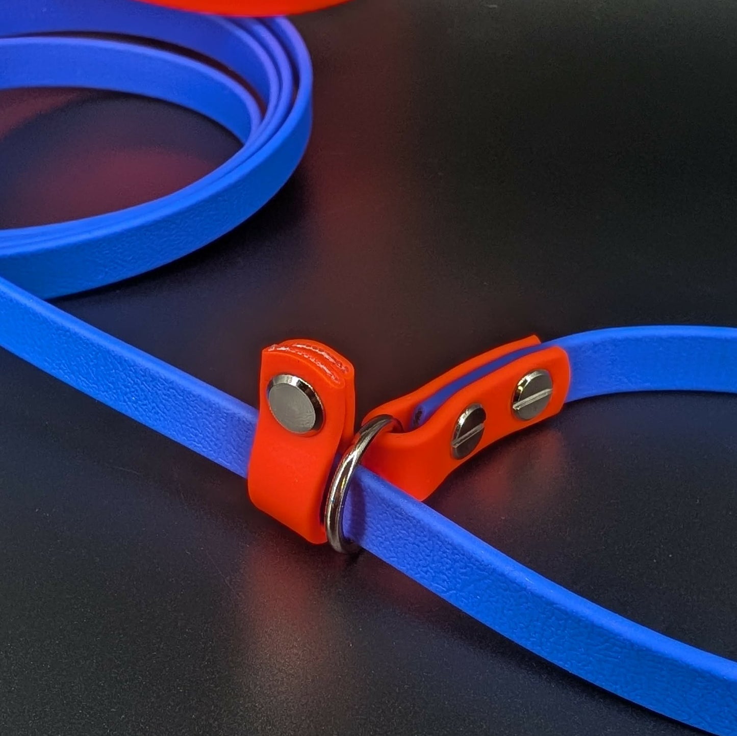 biothane slip lead royal blue and orange