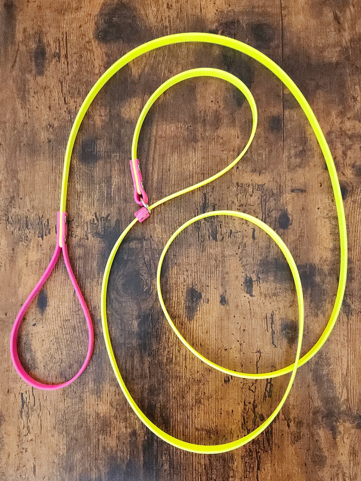 yellow and pink biothane slip lead