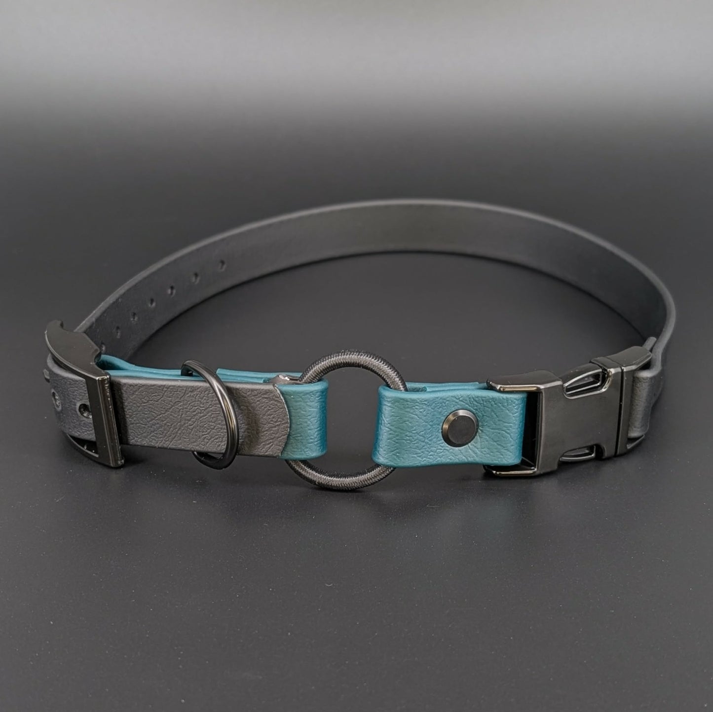 black and dark green biothane e-collar strap with bungee and quick release buckle