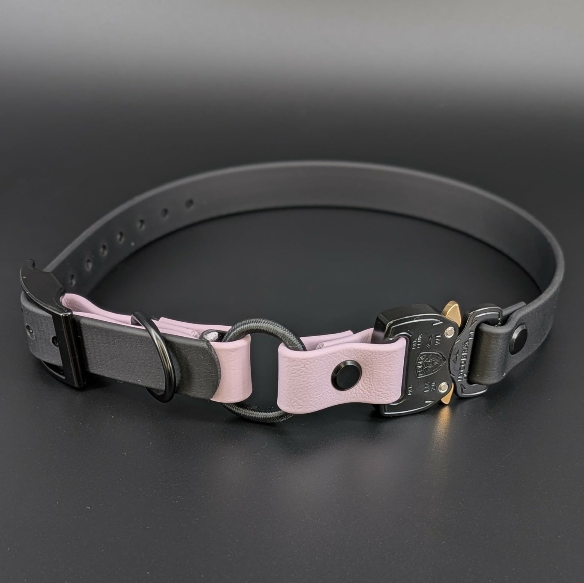 black and lavender biothane e-collar strap with bungee and quick release cobra buckle