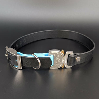 black and light blue biothane e-collar strap with quick release cobra buckle