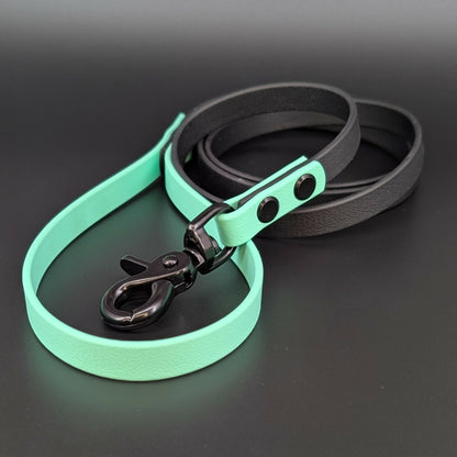 black and mint green biothane dog leash