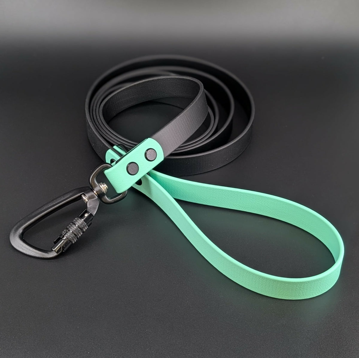 black and mint green biothane large dog leash with auto locking carabiner clip
