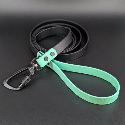 black and mint green biothane large dog leash with auto locking carabiner clip