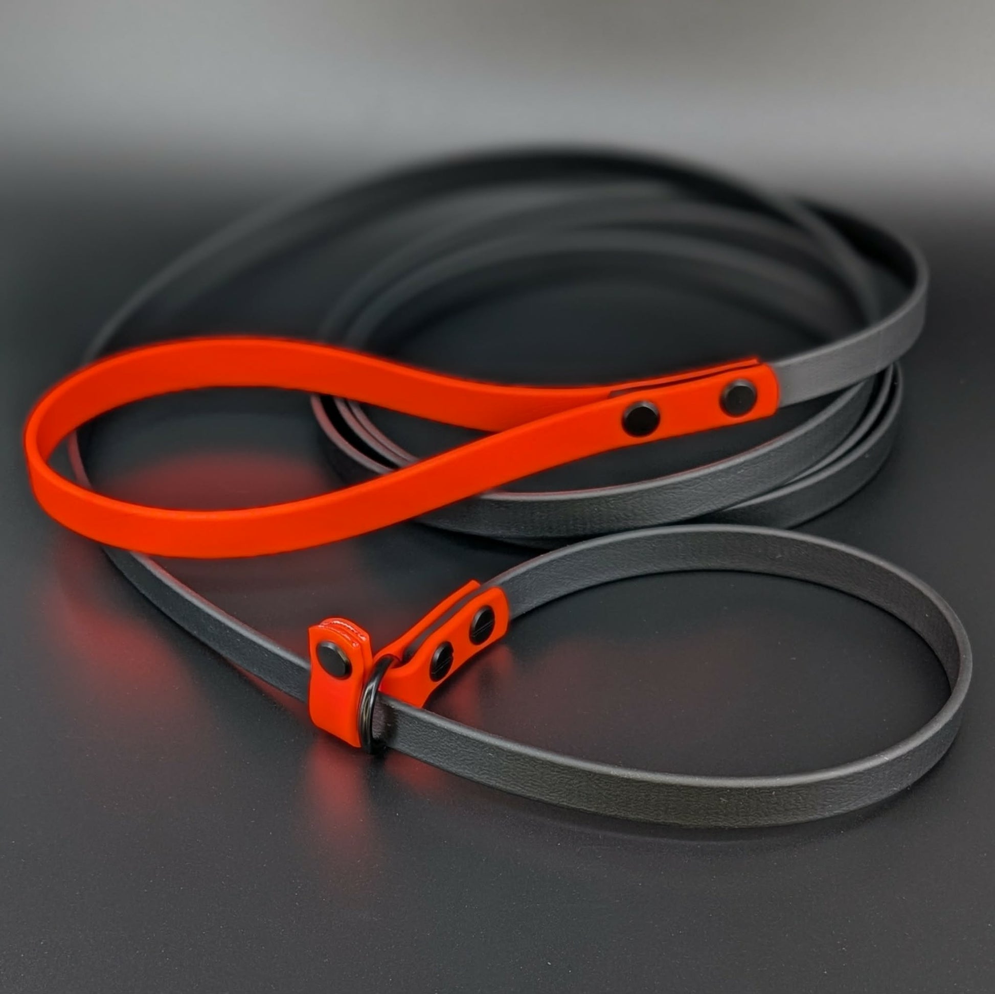 black and orange biothane slip lead