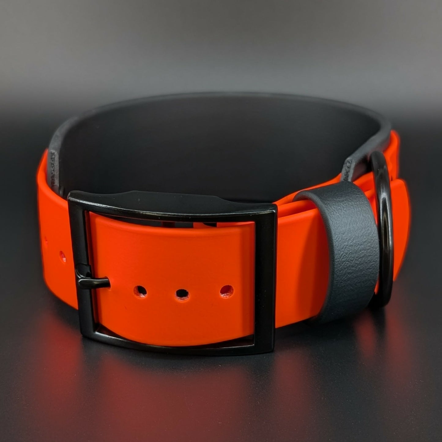 black and orange halloween collar