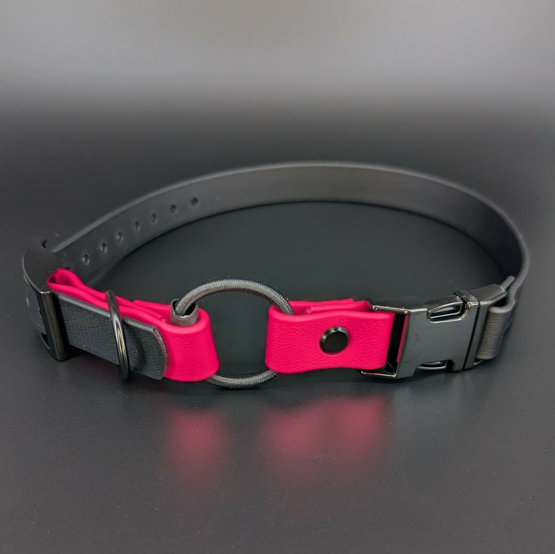 black and pink biothane e-collar strap with bungee and quick release buckle