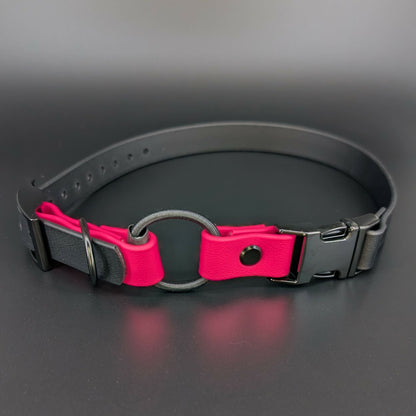 black and pink biothane e-collar strap with bungee and quick release buckle