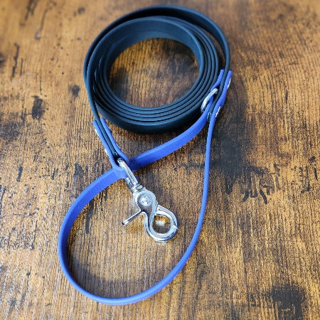 black and purple biothane dog leash