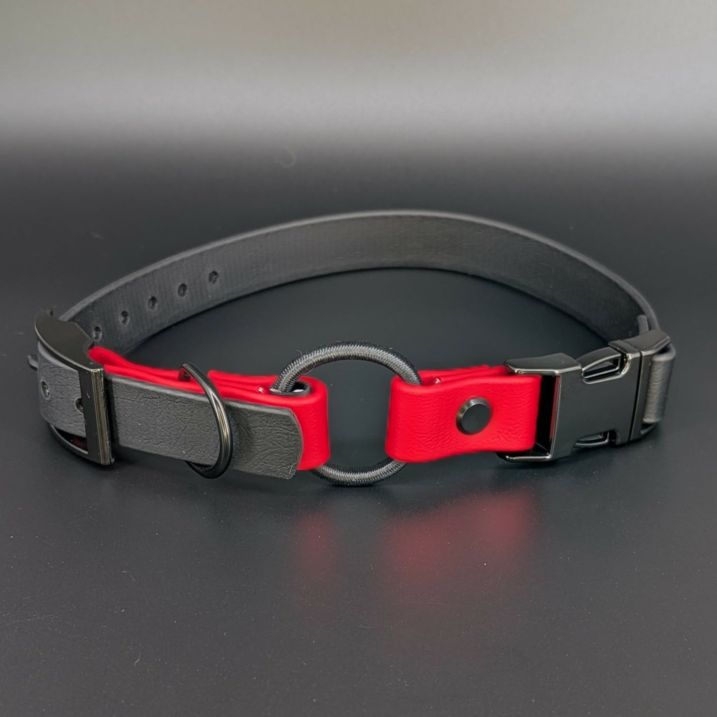 black and red biothane e-collar strap with bungee and quick release buckle
