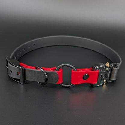 black and red biothane e-collar strap with bungee and quick release cobra buckle