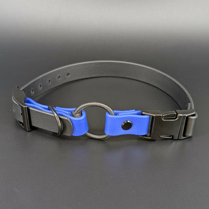 black and royal blue biothane e-collar strap with bungee and quick release buckle