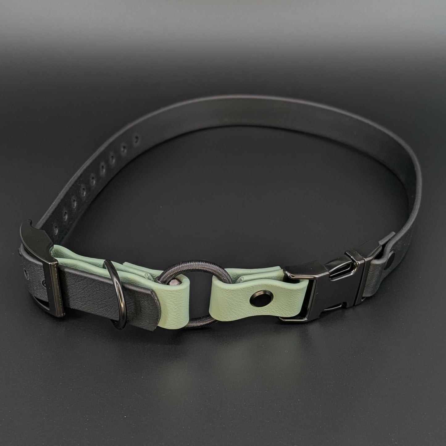black and sage green biothane e-collar strap with bungee and quick release buckle