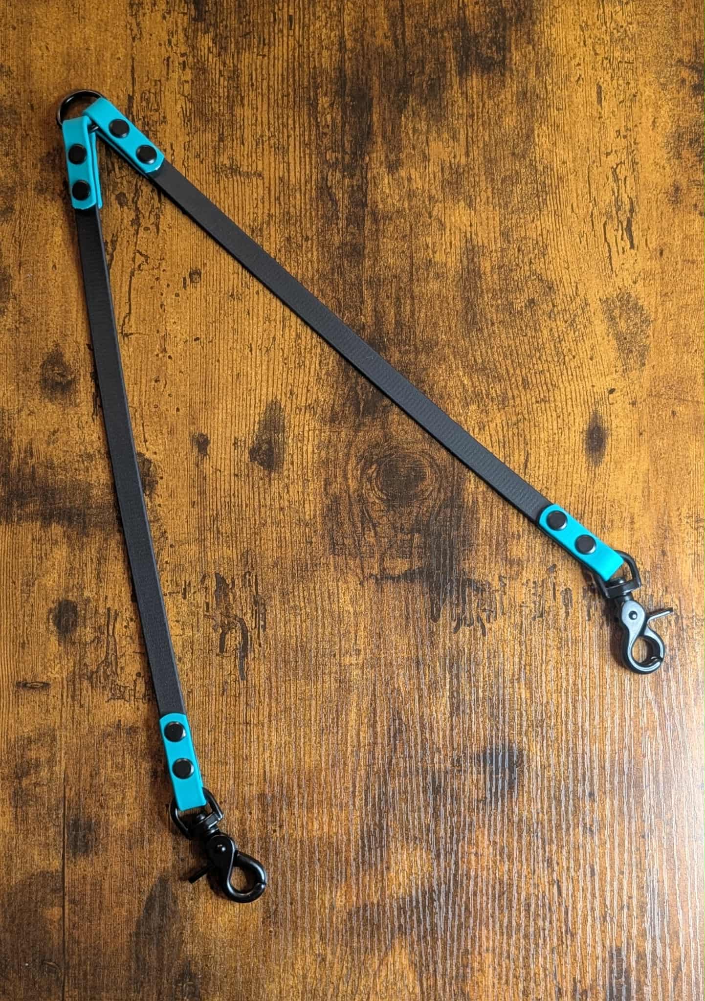 black and teal biothane dog leash coupler double dog leash
