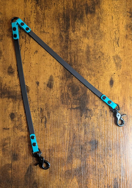 black and teal biothane dog leash coupler double dog leash