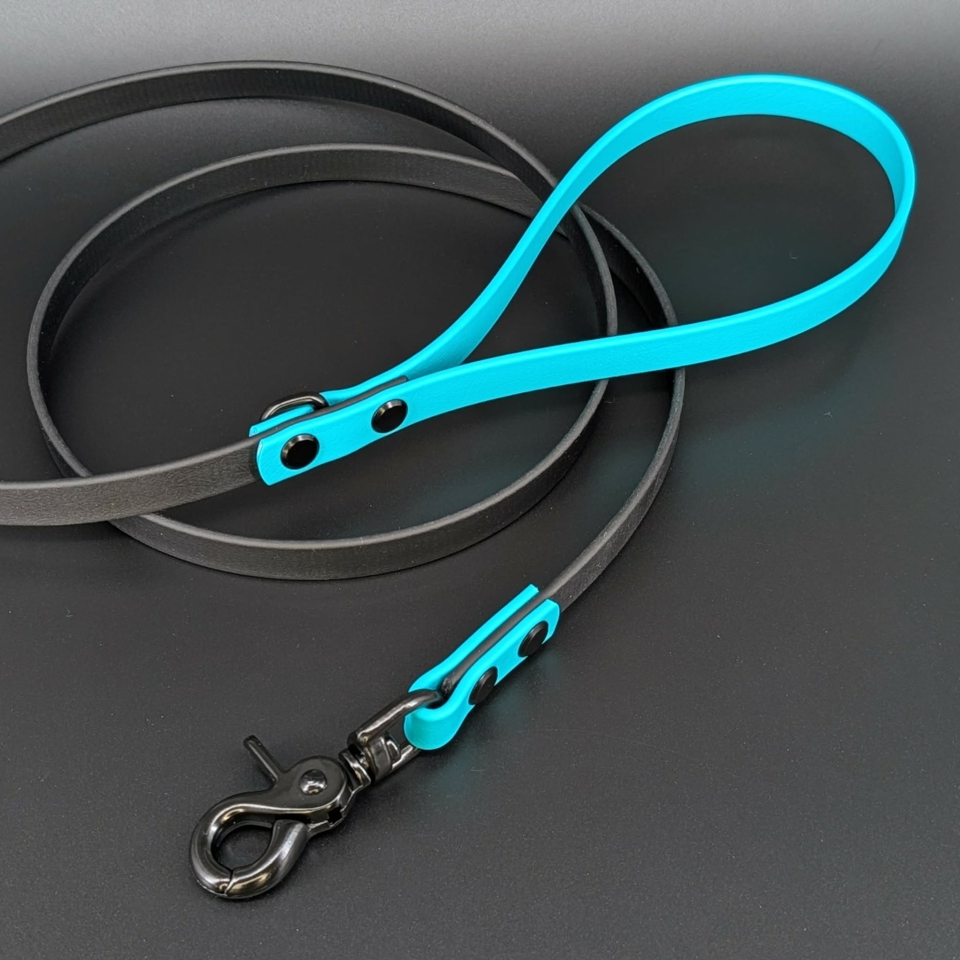black and teal biothane dog leash
