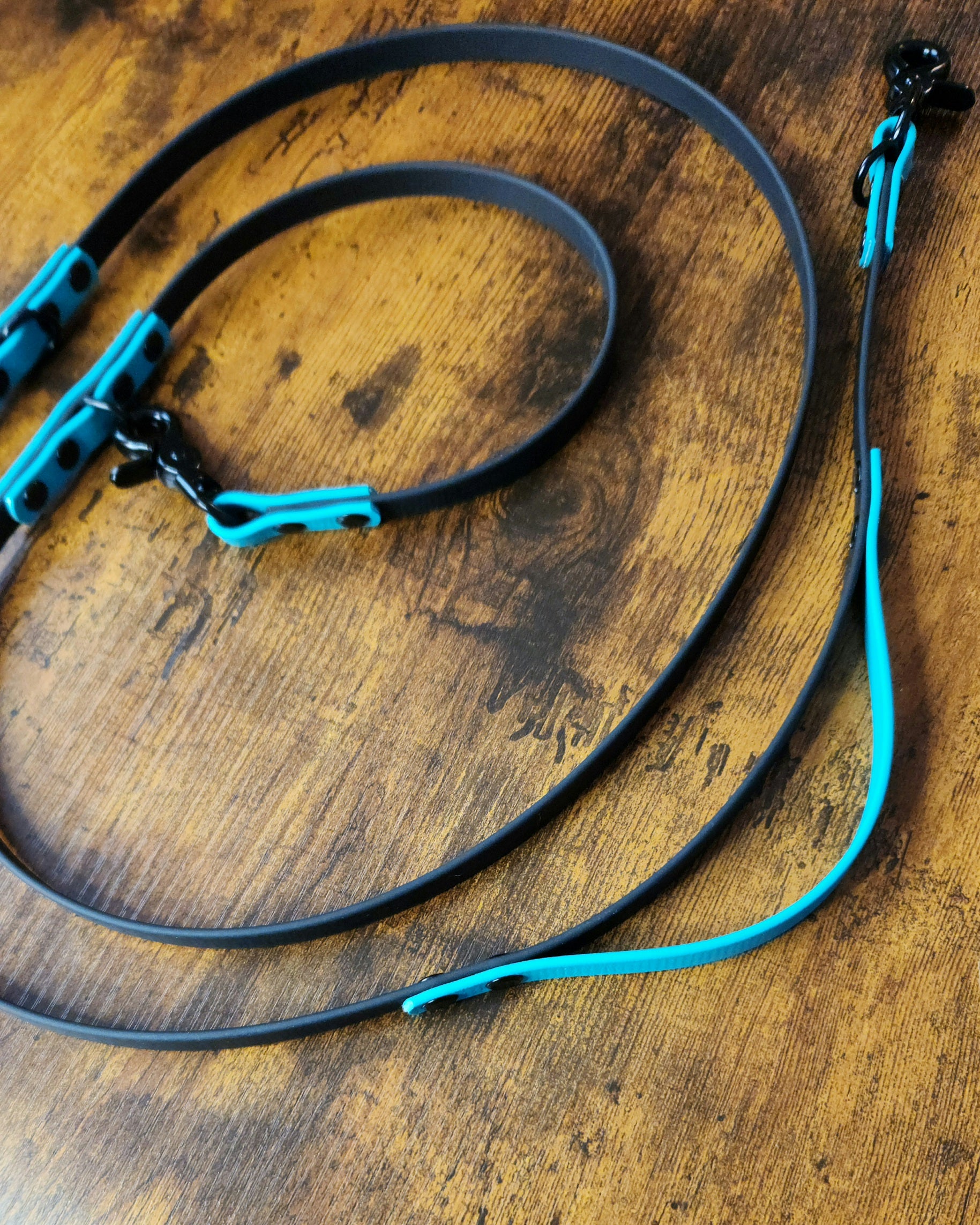 black and teal biothane hands free leash with built-in traffic handle