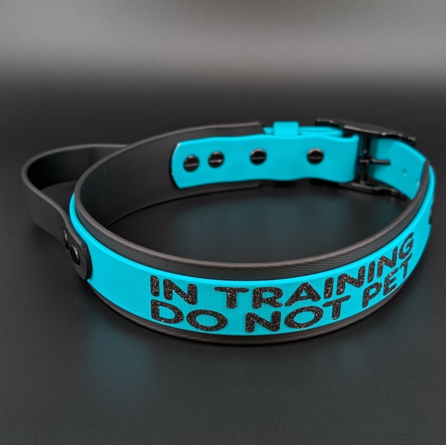 black and teal layered biothane handle dog collar with in training do not pet text