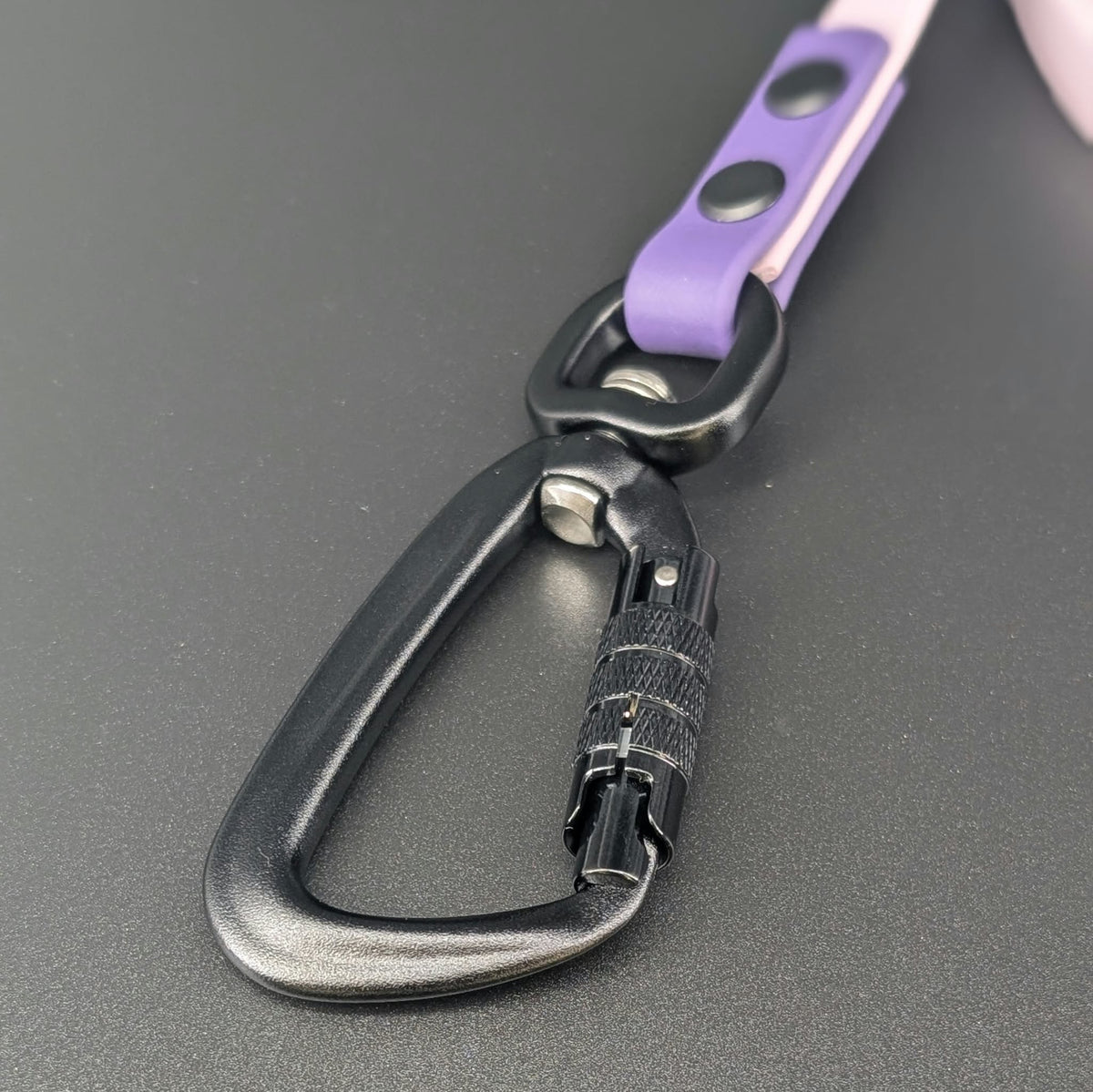 black auto locking carabiner clip