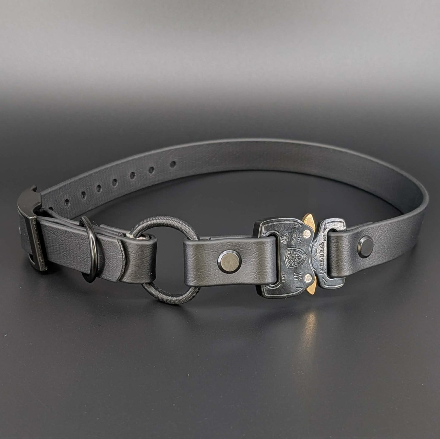 black biothane e-collar strap with bungee and quick release cobra buckle