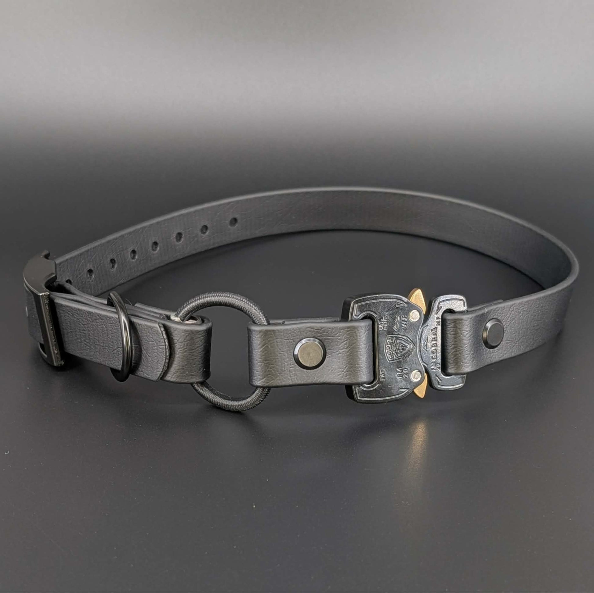 black biothane e-collar strap with bungee and quick release cobra buckle