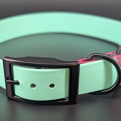 black hardware on mint green and wine biothane e-collar strap
