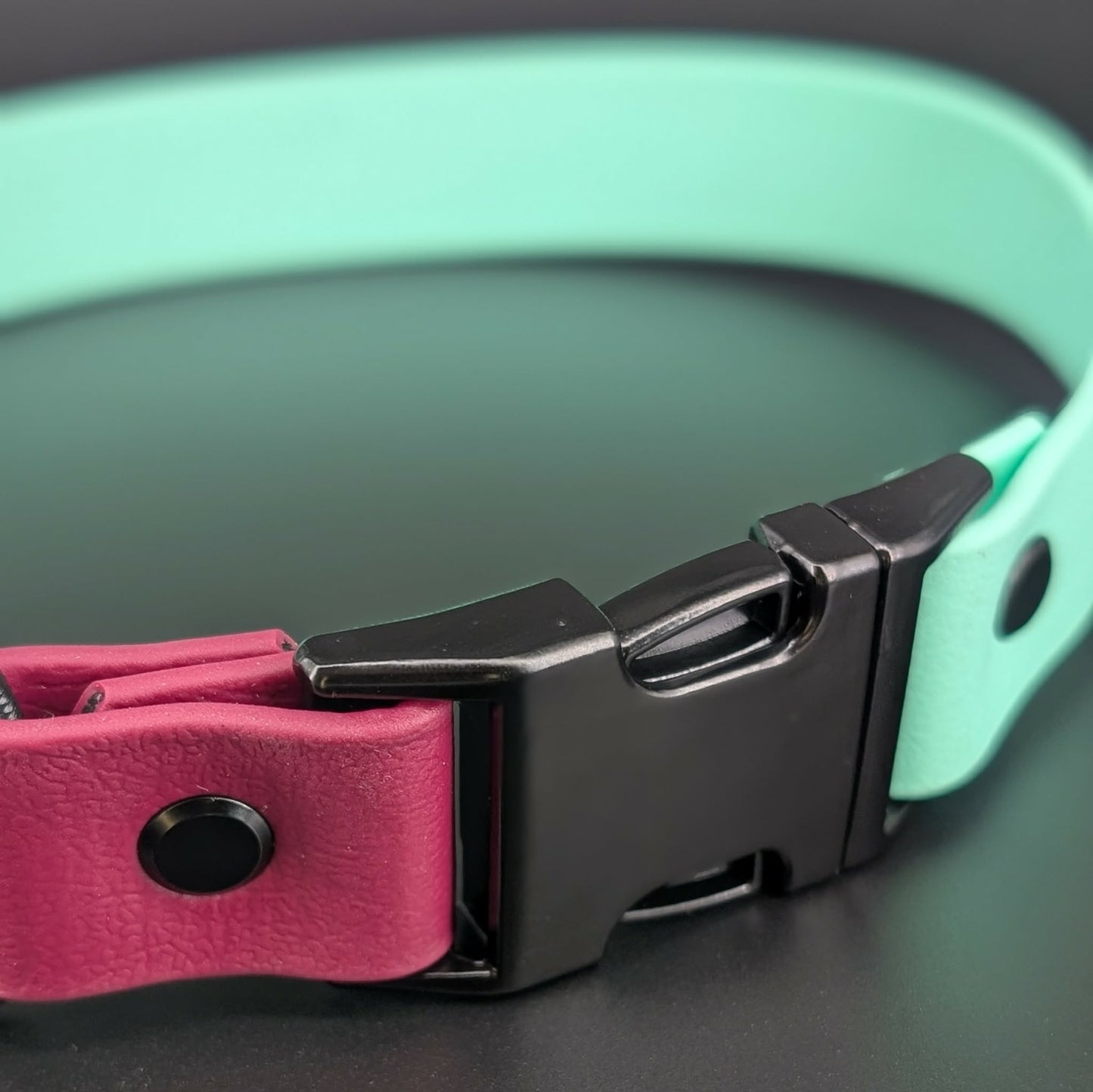 black quick release buckle on biothane e-collar strap