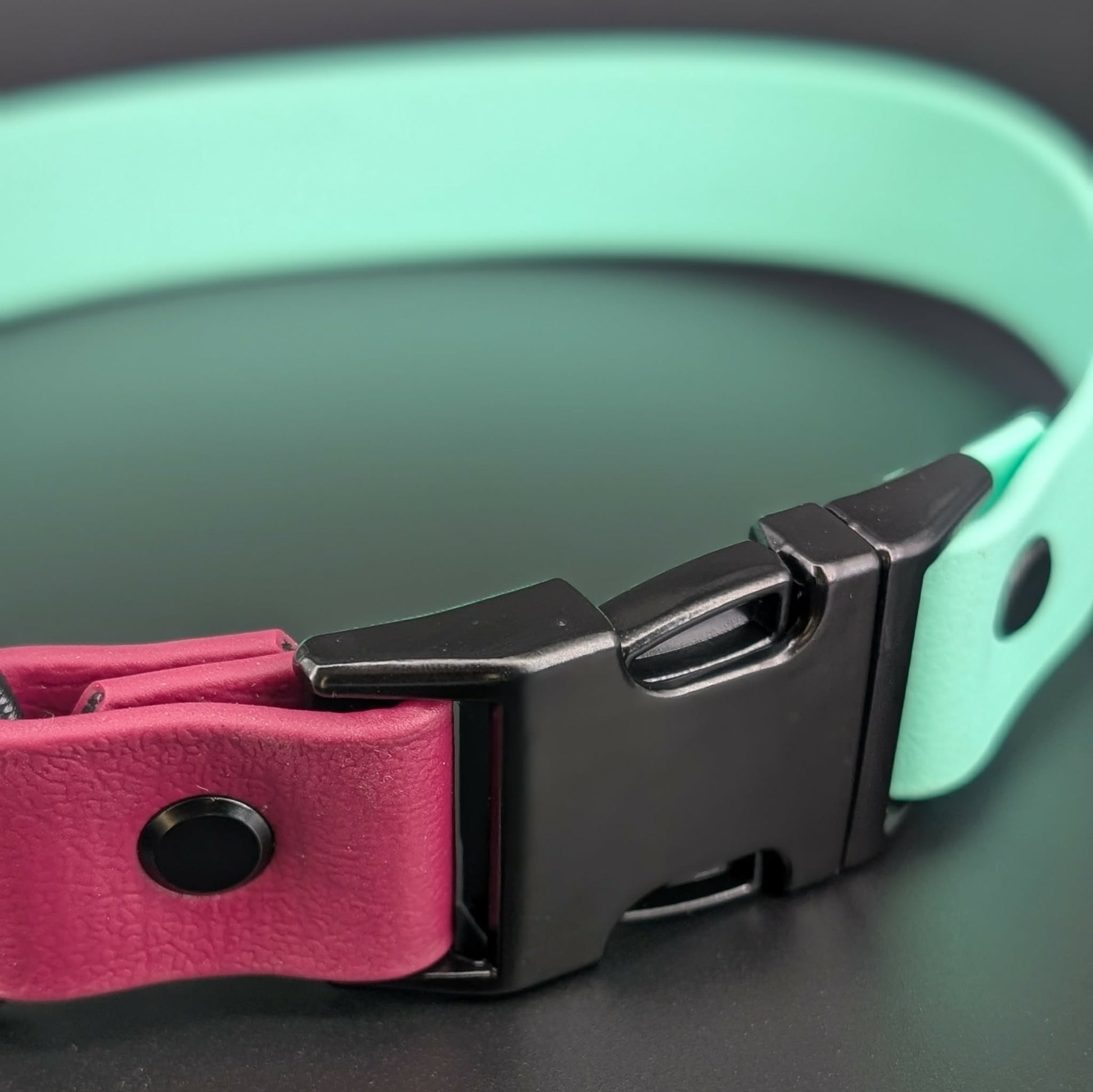 black quick release buckle on biothane e-collar strap
