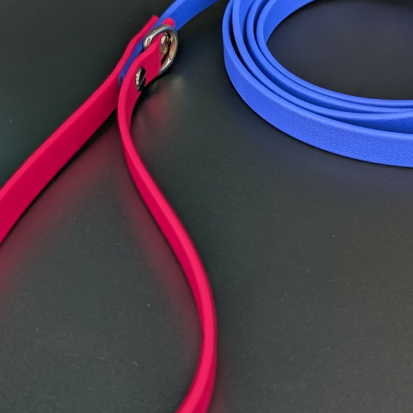 blue and pink biothane dog leash