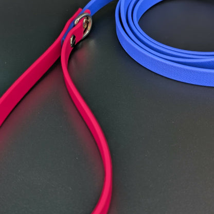 blue and pink biothane dog leash