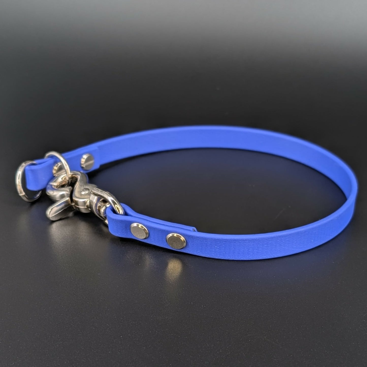 royal blue biothane slip collar with quick release clip