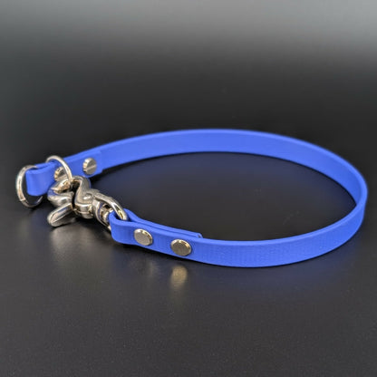 royal blue biothane slip collar with quick release clip