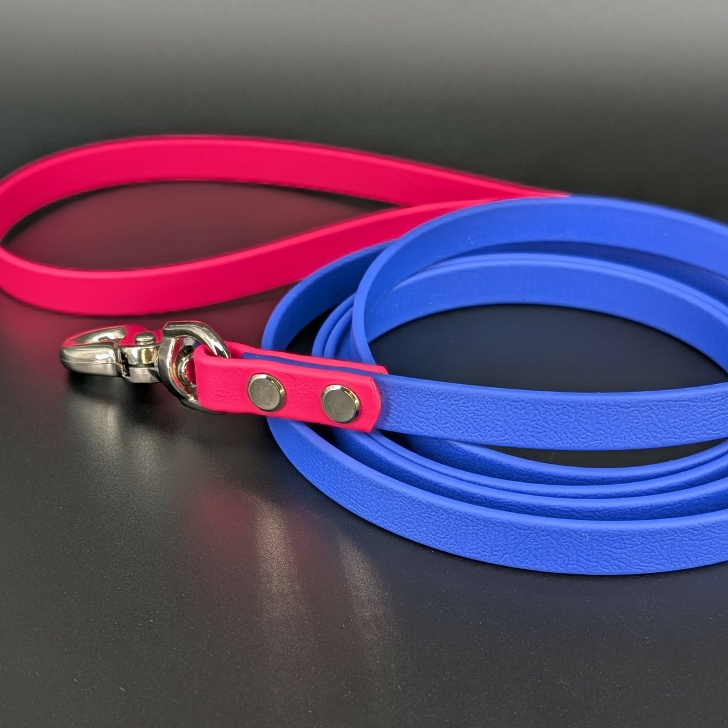 blue with pink biothane dog lead