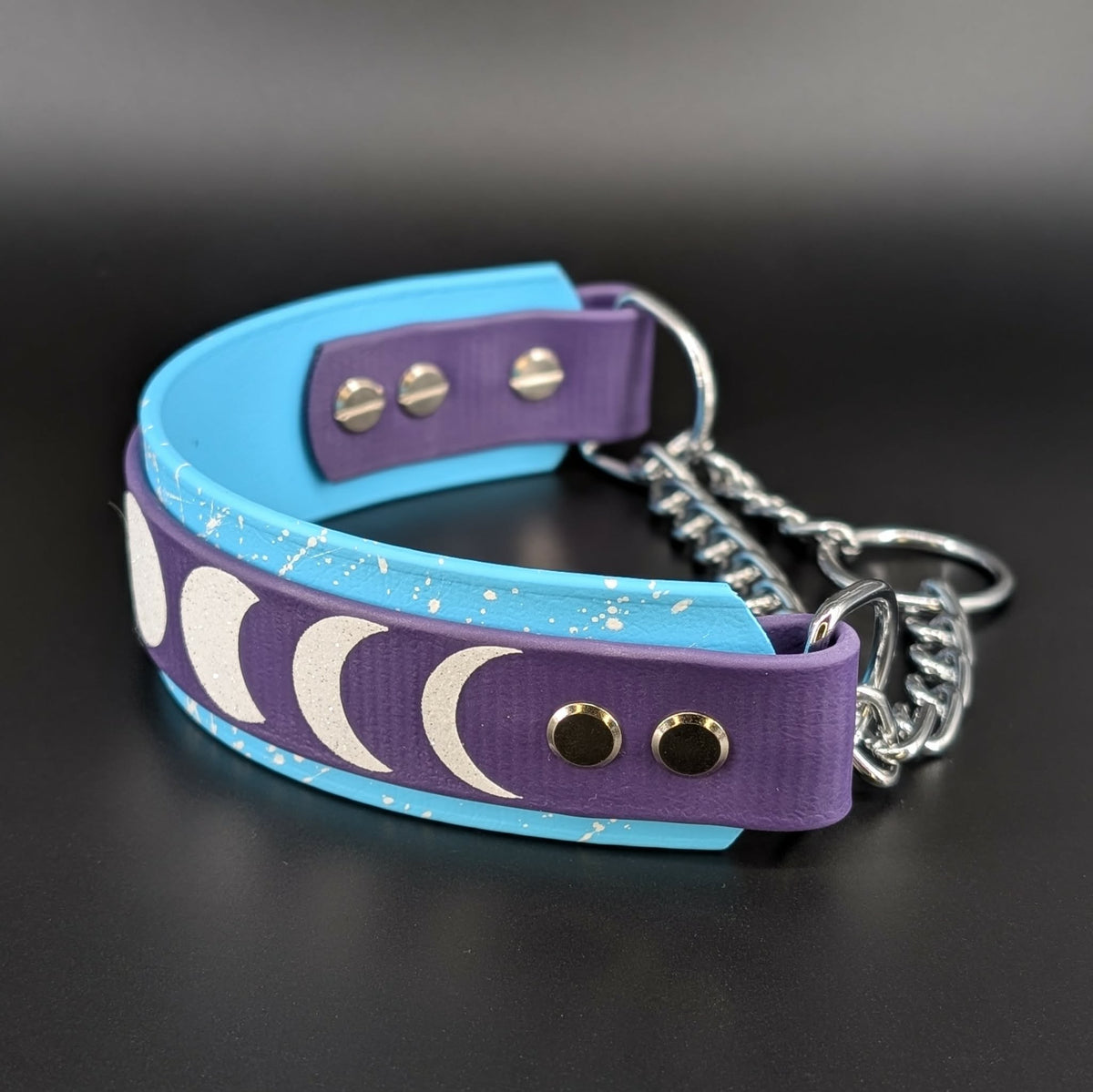 celestial dog collar